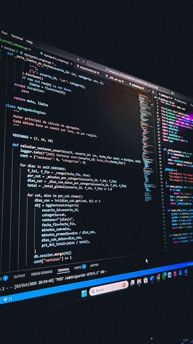 Web Developer- Creare site uri HTML,CSS, JS si WordPress