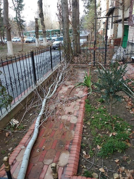 Металлический забор