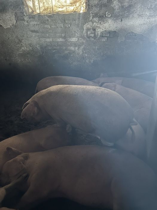 За информация на посочения номер