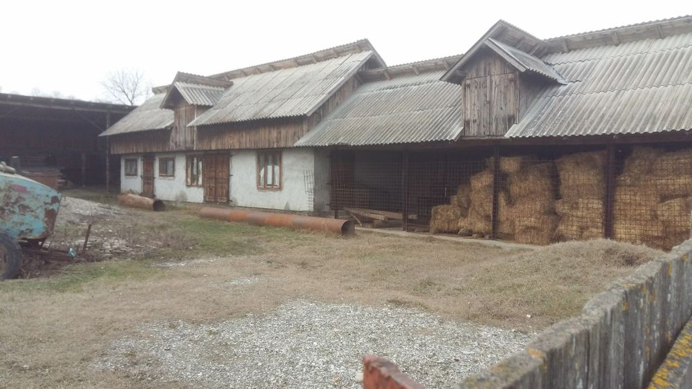 Casa de vanzare cu anexe, hala, beci, Super OFERTA