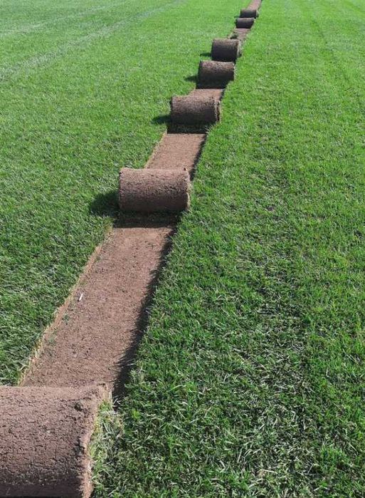 Gazon Rulou Sisteme de Irigare