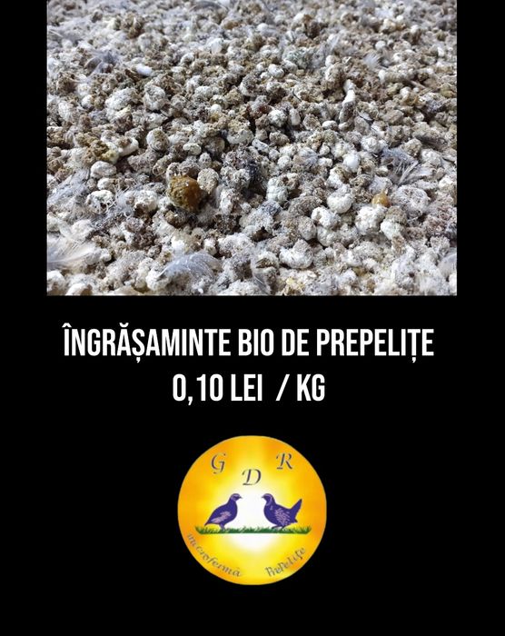 Prepelițe si oua incubat / consum bio