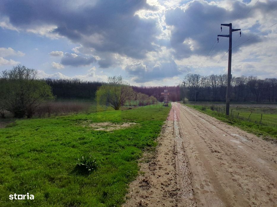 De Vanzare Teren 3400 Mp In Sat Podu Ilfovat / Com Buturugeni (Gr)