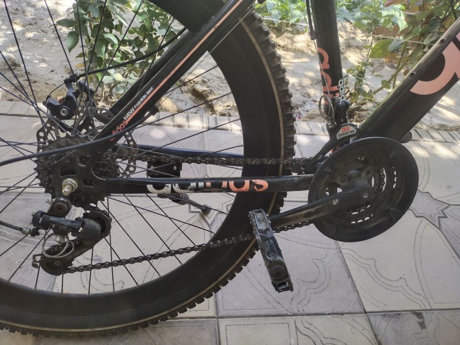 Velosiped adidas