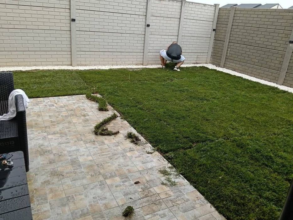 Amenajăm curți gazon rulou sport