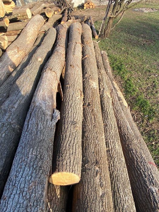 Bușteni uscați ptr. foc, stejar/frasin, cubat corect