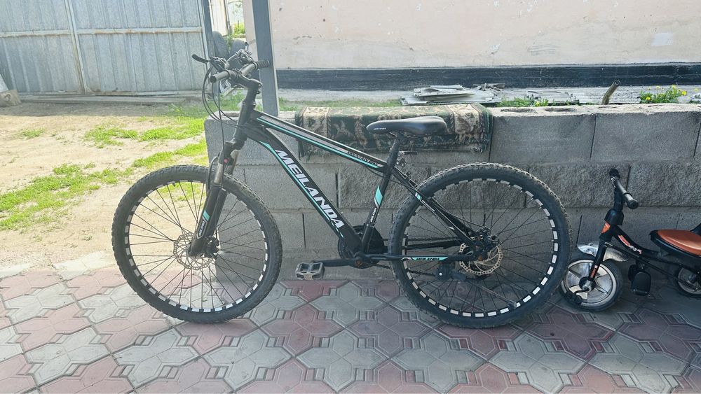 Каляска и велосипед