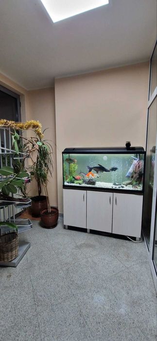 офис под наем Каршияка, топ локация до ГРАНД ХОТЕЛ ПЛОВДИВ