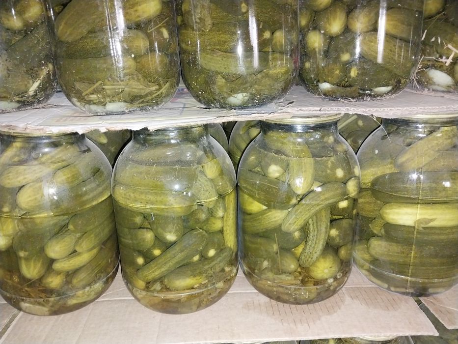 Домашние загатовки банки