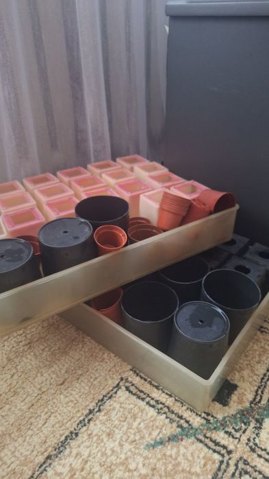 Стаканчики для рассады