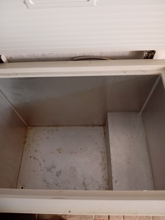 Маразильник AVA 2023