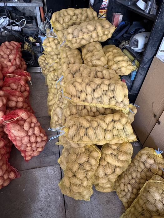 Продавам картофи