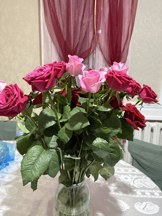Продам цветы свежие