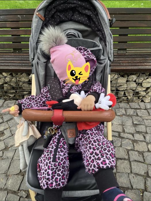 Carut tip troller pliabil pentru avion Momi