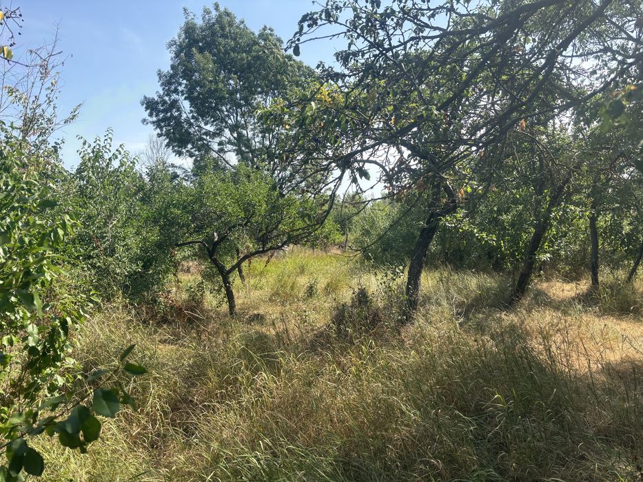 Vand urgent Teren intravilan