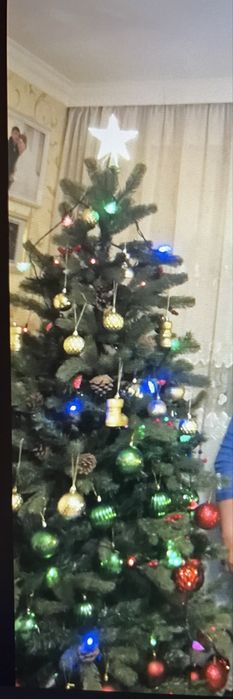 Елка рождественская