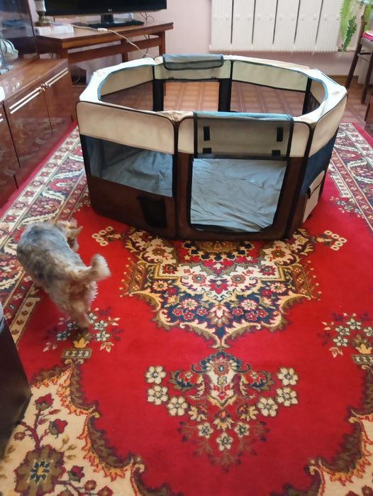 Манеж сборный для собачки