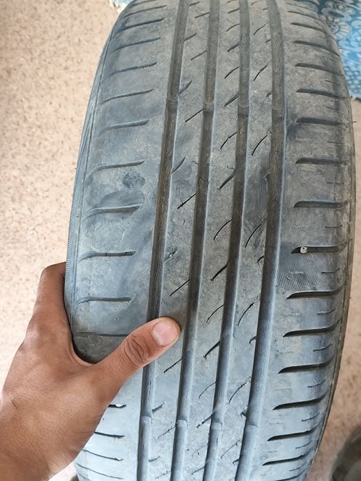 Продам шины nexen  15/50/195