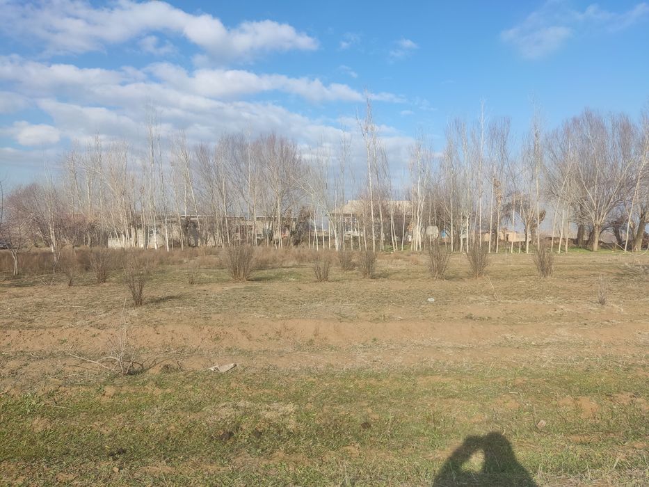 Hokim qarori bor 25soʻtix