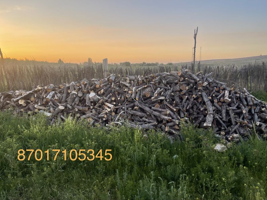 Продам яблоневые дрова / чурки