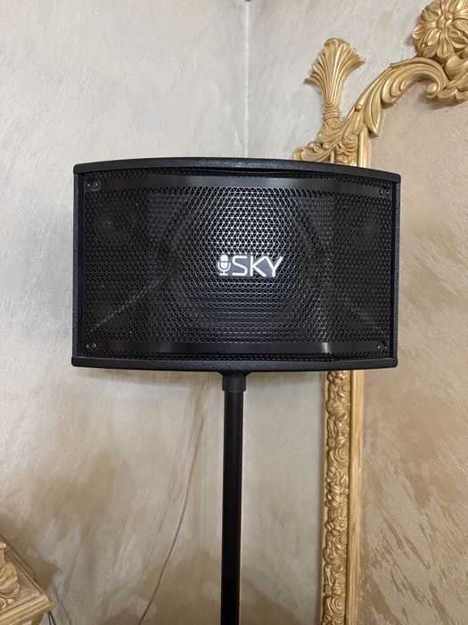 Профессиональное караоке