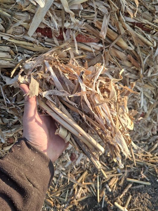 Baloți de tulei/ tocătură de vânzare