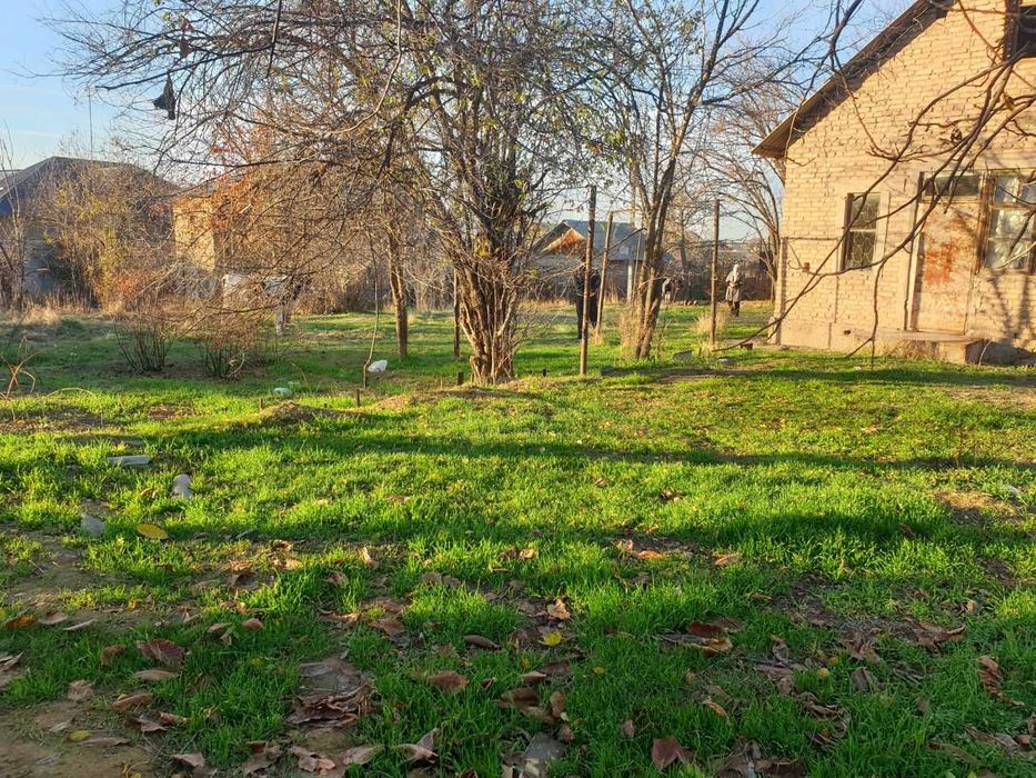 Қуш Қўнди махалласида ер сотилади.