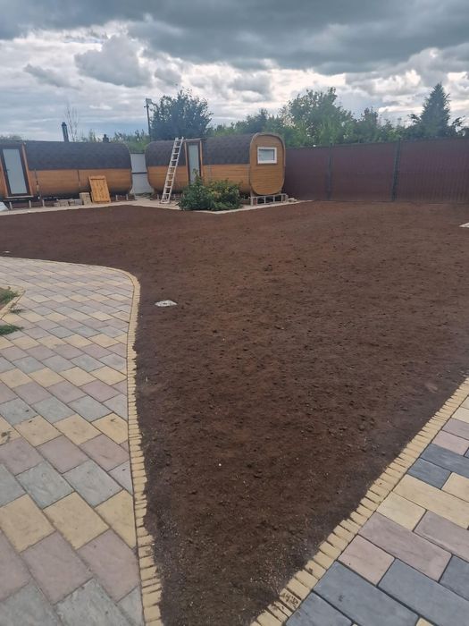 Газон рулонный посевной