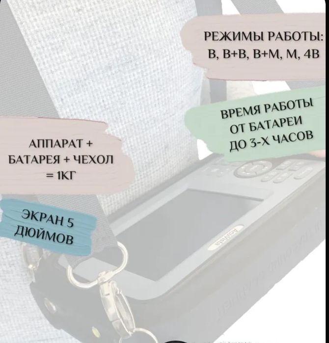 Аппарат УЗИ ветеринарный