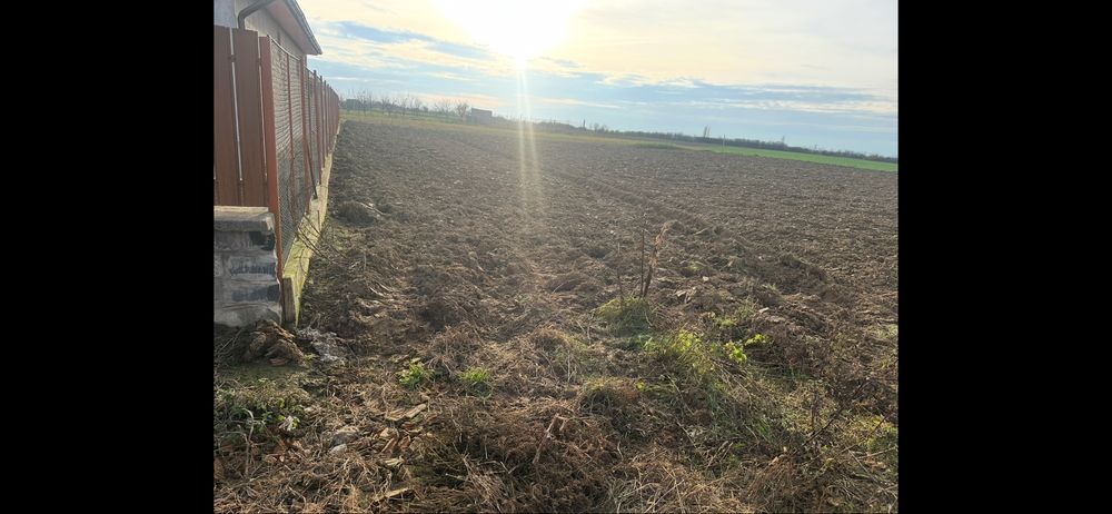 Vand teren intravilan 10 in Lazuri
