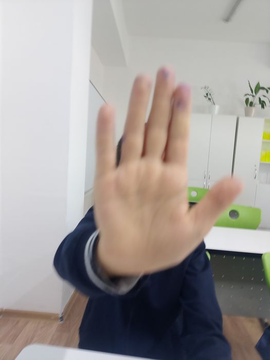Продам роботника 350тг