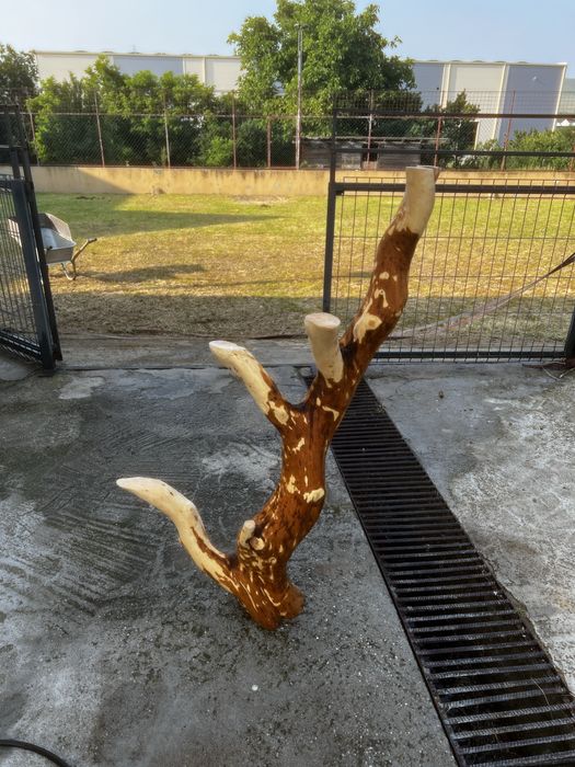 Vand suport de vinuri/carti/flori