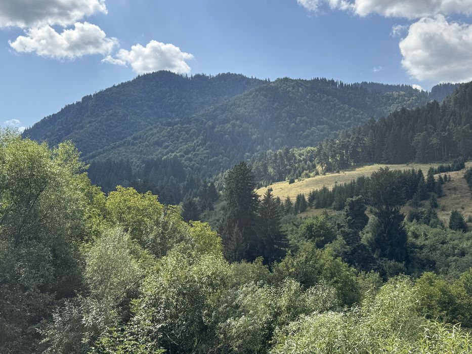 Teren intravilan deosebit, 572 mp, lângă pădure – POT 40% – Ideal rezidențial, Strada Morii , Mun. Sacele