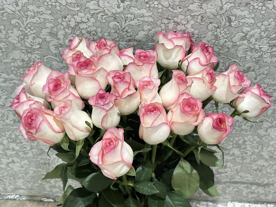 25 роз свежие срочно продам