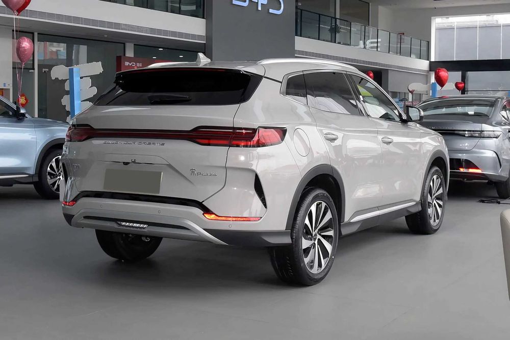 Byd Chanpion pod zakaz