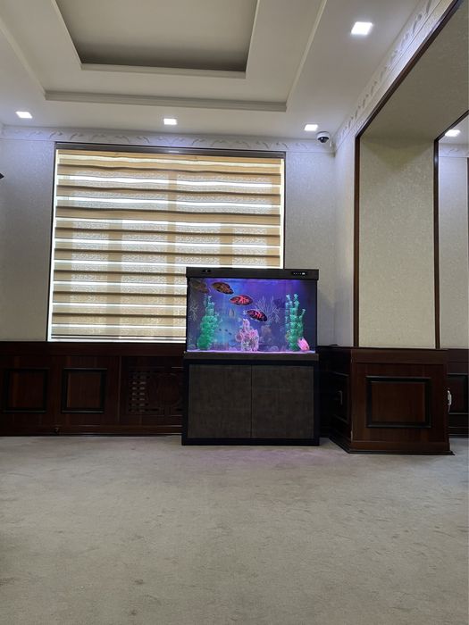 Professionall akvarium tozalash xizmati