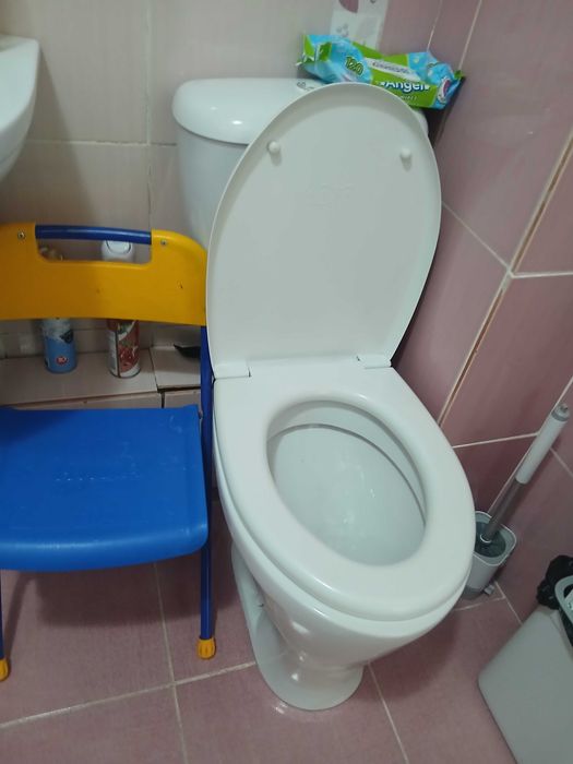 унитаз тюльпан душевая