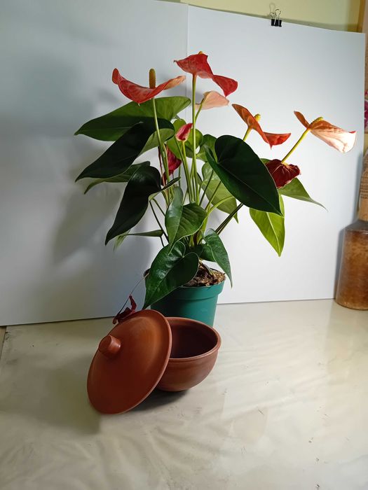 Уроци по рисуване