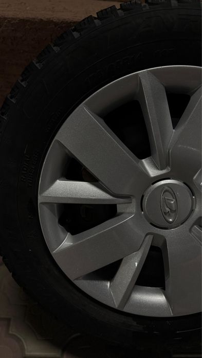 Болоны и диски колпоки