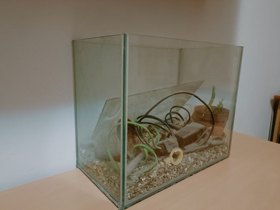 Vând acvariu 37x30x20.6
