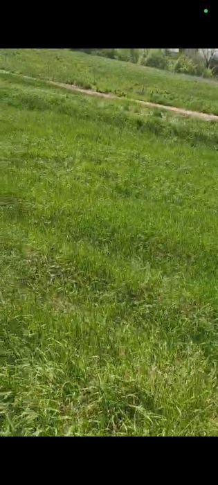 Продам земельный участок!