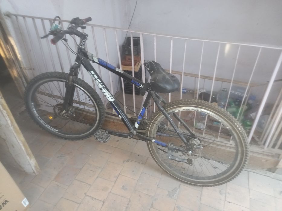 Velik sotiladi xolati yaxshi