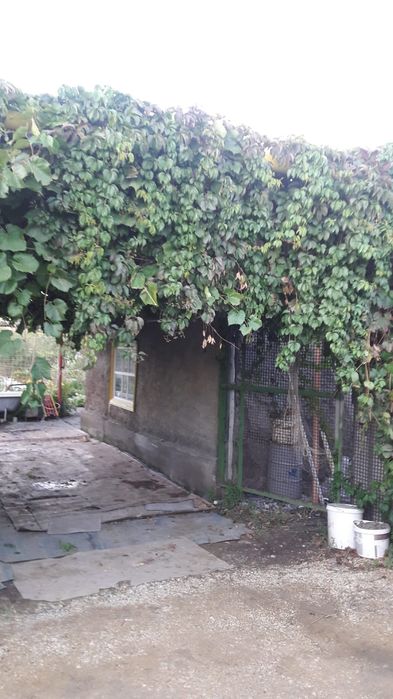 Продам дачный уголок 10 соток