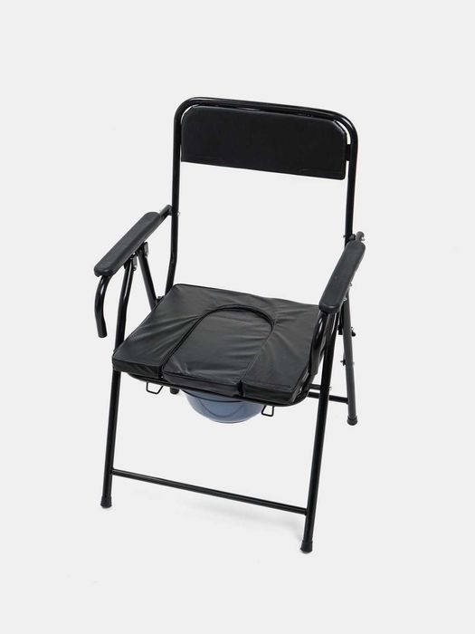 biotualet (kattalar uchun