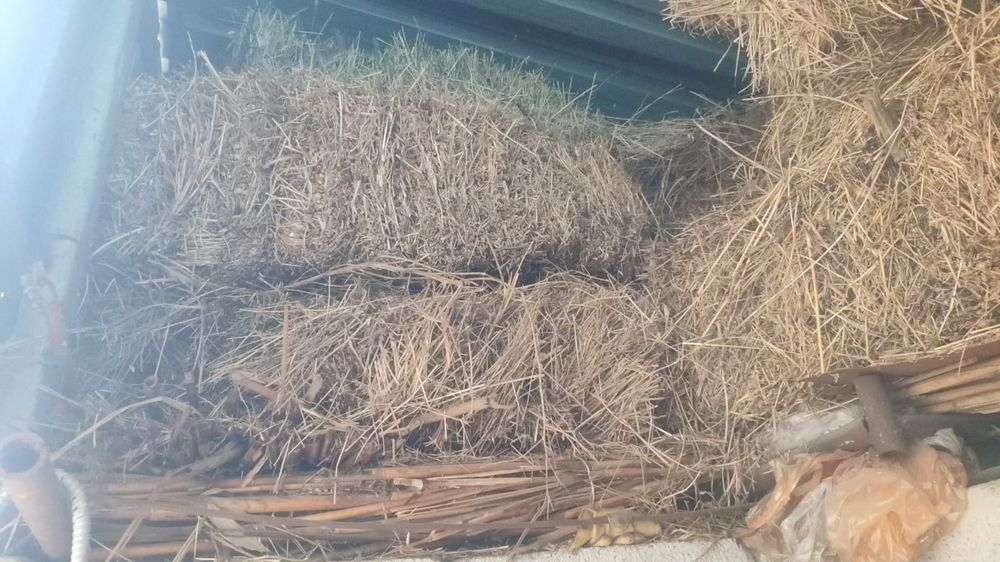 Продам сено в тюках