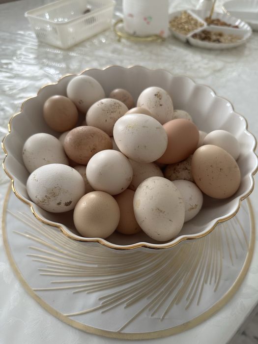 Свежие домашние яйца