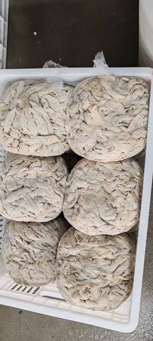 Черева свиная, баранья, синюга пластифицированная.