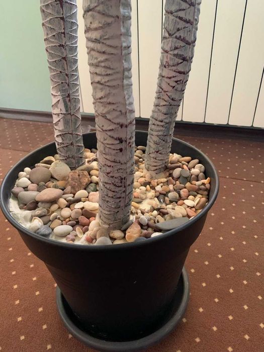 Plantă artificială decorativă Dracaena 1,75m