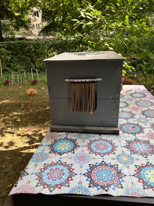 Cușcă pentru câine talie mică sau pisică