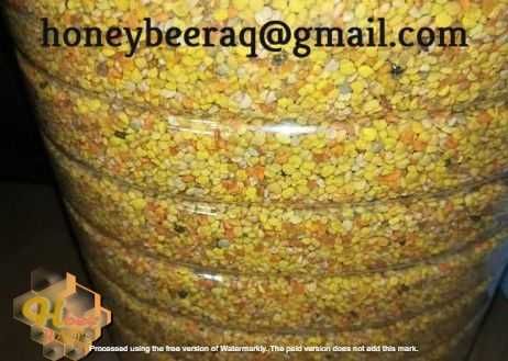 Горски Пчелен Прашец 14€ - 1кг.-ПРОМОЦИЯ -